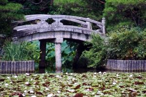 Chinese Garden
